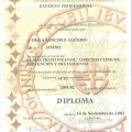 Acercar imagen: certificate 8