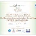 Acercar imagen: certificate 5