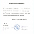 Acercar imagen: certificate 37