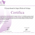 Acercar imagen: certificate 1