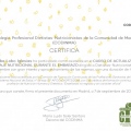 Acercar imagen: certificate 13