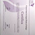 Acercar imagen: certificate 17
