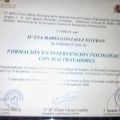 Acercar imagen: certificate 15