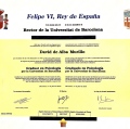 Acercar imagen: certificate 1
