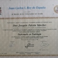 Acercar imagen: certificate 2