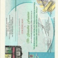 Acercar imagen: certificate 59