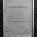 Acercar imagen: certificate 5