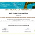 Acercar imagen: certificate 35