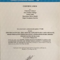 Acercar imagen: certificate 49
