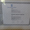 Acercar imagen: certificate 3