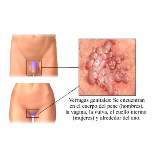 Francisco Miguel Jiménez Armenteros-14