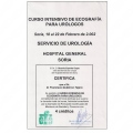 Acercar imagen: certificate 22