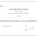 Acercar imagen: certificate 1
