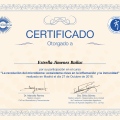 Acercar imagen: certificate 9