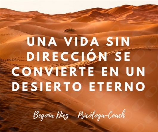 Begoña Diez Nieto-10