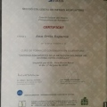 Acercar imagen: certificate 7