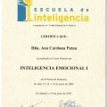 Acercar imagen: certificate 3