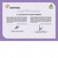 Acercar imagen: certificate 12