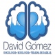 David Gómez Martín