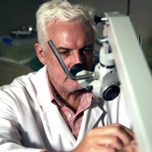 Acercar imagen: Mateo Real Gamundí, Otorrino Palma de Mallorca