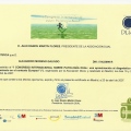 Acercar imagen: certificate 16