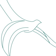 Acercar imagen: David Dolz Salom, Fisioterapeuta Denia