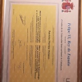 Acercar imagen: certificate 1