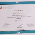 Acercar imagen: certificate 8