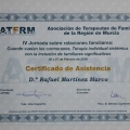 Acercar imagen: certificate 13