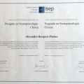 Acercar imagen: certificate 2