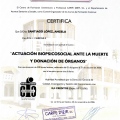 Acercar imagen: certificate 6