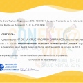 Acercar imagen: certificate 22
