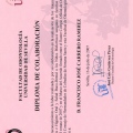 Acercar imagen: certificate 5