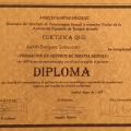 Acercar imagen: certificate 11
