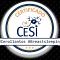 Acercar imagen: certificate 2