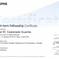Acercar imagen: certificate 3