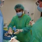  Ricardo Perona Lafuente