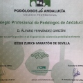 Acercar imagen: certificate 9