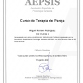 Acercar imagen: certificate 21