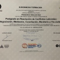 Acercar imagen: certificate 5