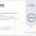 Acercar imagen: certificate 1