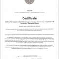 Acercar imagen: certificate 7