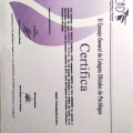 Acercar imagen: certificate 9