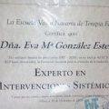 Acercar imagen: certificate 10