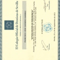 Acercar imagen: certificate 7
