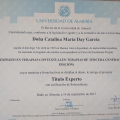 Acercar imagen: certificate 3