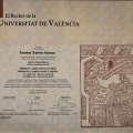 Acercar imagen: certificate 14