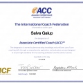 Acercar imagen: certificate 6