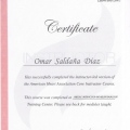 Acercar imagen: certificate 4