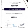 Acercar imagen: certificate 5